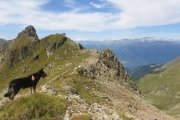 IMG_0404