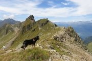IMG_0407
