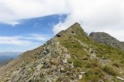 IMG_0420
