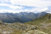 IMG_0441