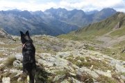 IMG_0443