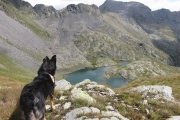 IMG_0447