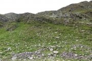 IMG_0461