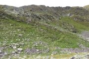 IMG_0463