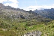 IMG_0470