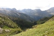 IMG_0477