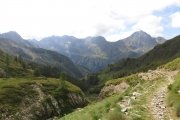 IMG_0479