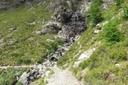 IMG_0488