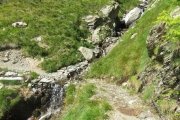IMG_0494