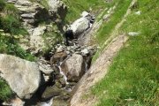 IMG_0497