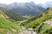 IMG_0499