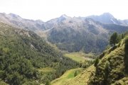 IMG_0501