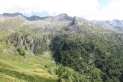 IMG_0502