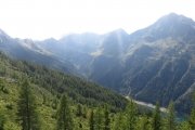 IMG_0517