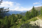 IMG_0519