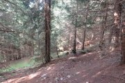 IMG_0522