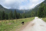 IMG_0489