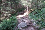 IMG_0492