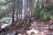 IMG_0493