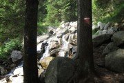 IMG_0496