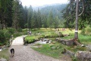 IMG_0506