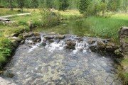 IMG_0509