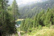 IMG_0520