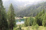 IMG_0522