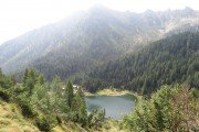 IMG_0530