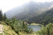 IMG_0533