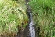 IMG_0536