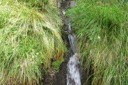 IMG_0537