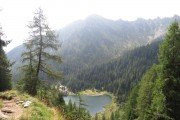 IMG_0539