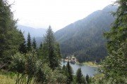 IMG_0542