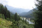 IMG_0545