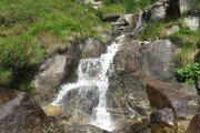 IMG_0548