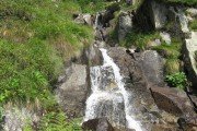 IMG_0551