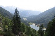 IMG_0556