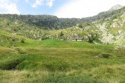 IMG_0572