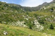 IMG_0577