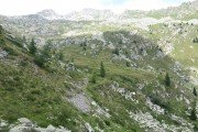 IMG_0579