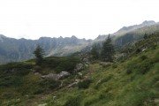 IMG_0585