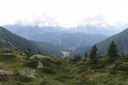IMG_0589