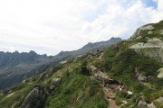 IMG_0605