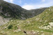 IMG_0609