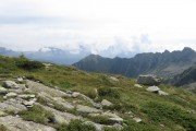 IMG_0611