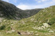IMG_0613