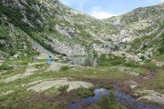 IMG_0620