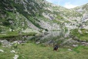 IMG_0621