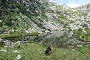 IMG_0622